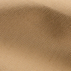 Light walnut