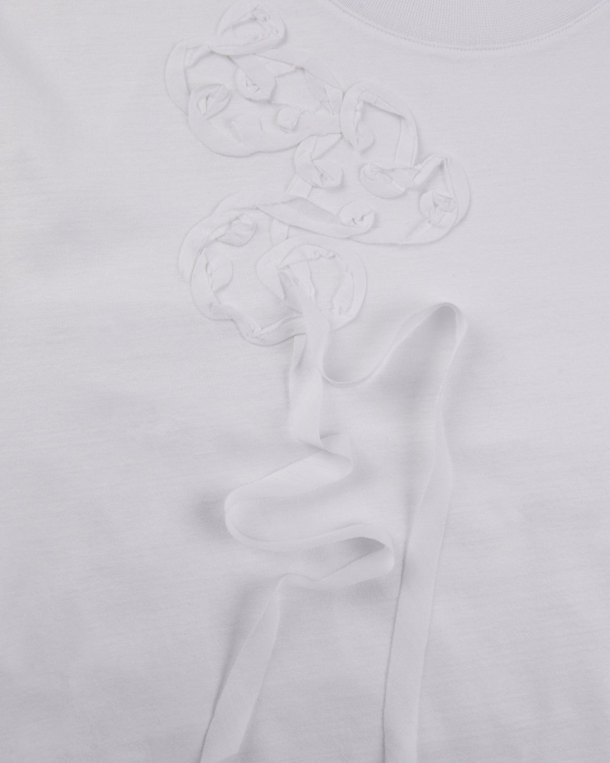 Regular fit cotton t-shirt